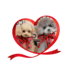 COCO ＆ LILIA（個別スタンプ：24）