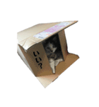 ちよちゃん2（個別スタンプ：32）