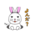 うっかりウサギ（個別スタンプ：34）