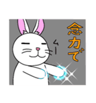 うっかりウサギ（個別スタンプ：36）