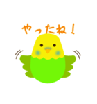 褒めるインコ（個別スタンプ：6）