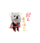 愛犬 Mr.マグルス（個別スタンプ：32）