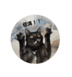 麻雀練習中のねこ（個別スタンプ：8）