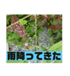お天気いろいろスタンプ（個別スタンプ：2）