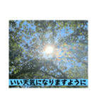 お天気いろいろスタンプ（個別スタンプ：3）