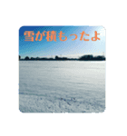 お天気いろいろスタンプ（個別スタンプ：8）