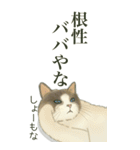 ❤️関西❤️モフ猫連合❤️Bigサイズやで（個別スタンプ：25）