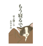 ❤️関西❤️モフ猫連合❤️Bigサイズやで（個別スタンプ：36）