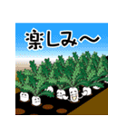 大根農家の毎日（個別スタンプ：2）