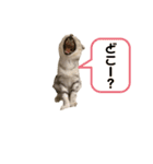 らいんすぱんぷ（個別スタンプ：3）