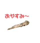 らいんすぱんぷ（個別スタンプ：4）