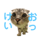 らいんすぱんぷ（個別スタンプ：5）