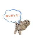 らいんすぱんぷ（個別スタンプ：8）