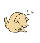 しろたまごくん（個別スタンプ：2）