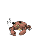 しろたまごくん（個別スタンプ：36）