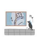 弟のサメ太郎（個別スタンプ：16）