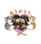 マレンとシェロ3（個別スタンプ：24）