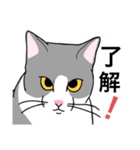 ラタとノル（個別スタンプ：1）