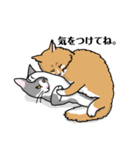 ラタとノル（個別スタンプ：13）