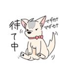 れいなのかわいい犬スタンプ（個別スタンプ：11）