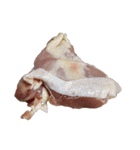 鶏モモ肉（個別スタンプ：38）