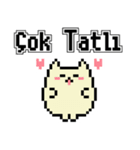 トルコ語ドット絵スタンプ（個別スタンプ：12）