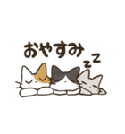 飼い主と6匹のねこ（個別スタンプ：2）