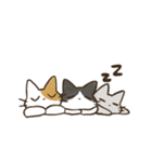 飼い主と6匹のねこ(文字なし)（個別スタンプ：2）