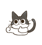 飼い主と6匹のねこ(文字なし)（個別スタンプ：19）