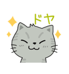 ほんわか猫と動物いっぱい。Everyday stamp（個別スタンプ：1）