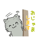 ほんわか猫と動物いっぱい。Everyday stamp（個別スタンプ：6）