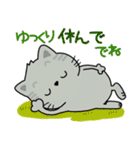 ほんわか猫と動物いっぱい。Everyday stamp（個別スタンプ：30）