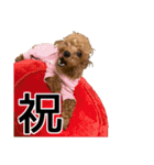 Go！Go！まめたん！（個別スタンプ：29）
