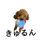 Go！Go！まめたん！（個別スタンプ：38）