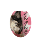 おもちとおはぎ2022（個別スタンプ：13）