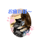 おもちとおはぎ2022（個別スタンプ：14）