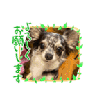おもちとおはぎ2022（個別スタンプ：16）