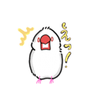 文鳥ぶんちゃんの生活（個別スタンプ：4）