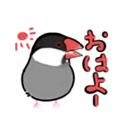 文鳥ぶんちゃんの生活（個別スタンプ：5）