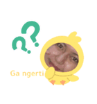 Cinte Anjing（個別スタンプ：5）