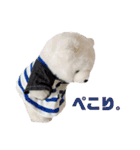 shiro_mori_2（個別スタンプ：7）