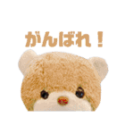 shiro_mori_2（個別スタンプ：22）