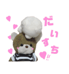 shiro_mori_2（個別スタンプ：37）