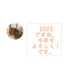 みーくん2023よろしくにやあー（個別スタンプ：1）