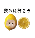 Milku＆Lemon（個別スタンプ：12）