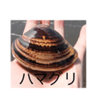 シミレーター2（個別スタンプ：7）