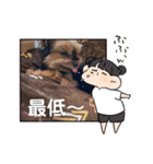 ヨーキーのマレン（個別スタンプ：1）