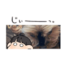 ヨーキーのマレン（個別スタンプ：9）