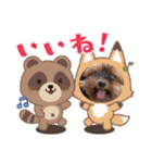 ヨーキーのマレン（個別スタンプ：24）