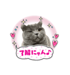 ⭐︎Jillランド⭐︎（個別スタンプ：5）